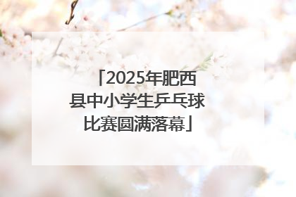 2025年肥西县中小学生乒乓球比赛圆满落幕