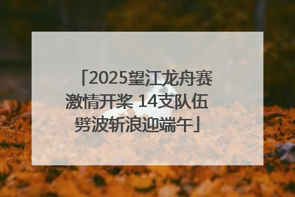 2025望江龙舟赛激情开桨 14支队伍劈波斩浪迎端午