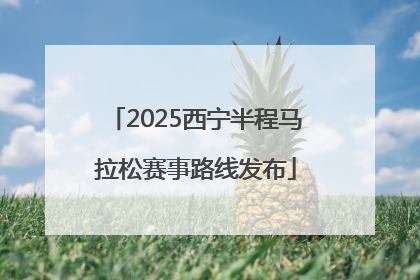 2025西宁半程马拉松赛事路线发布
