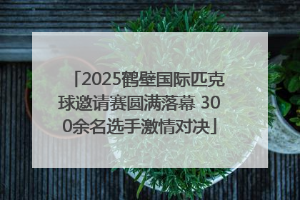 2025鹤壁国际匹克球邀请赛圆满落幕 300余名选手激情对决