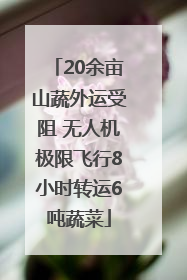 20余亩山蔬外运受阻 无人机极限飞行8小时转运6吨蔬菜