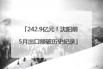 242.9亿元！沈阳前5月出口额破历史纪录
