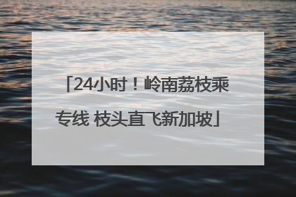 24小时！岭南荔枝乘专线 枝头直飞新加坡