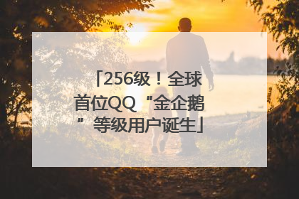 256级！全球首位QQ“金企鹅”等级用户诞生