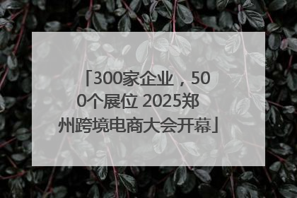 300家企业，500个展位 2025郑州跨境电商大会开幕