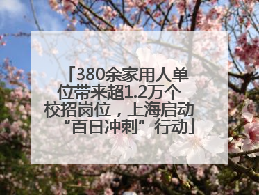 380余家用人单位带来超1.2万个校招岗位，上海启动“百日冲刺”行动