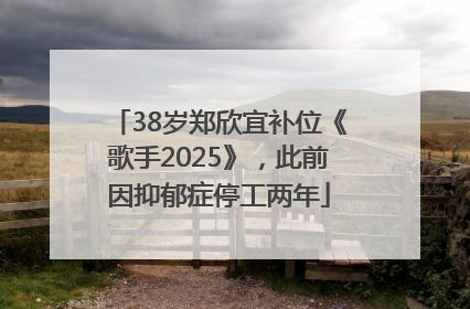 38岁郑欣宜补位《歌手2025》，此前因抑郁症停工两年