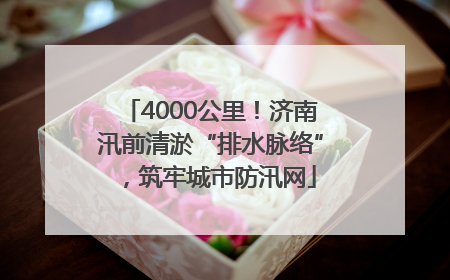 4000公里！济南汛前清淤“排水脉络”，筑牢城市防汛网