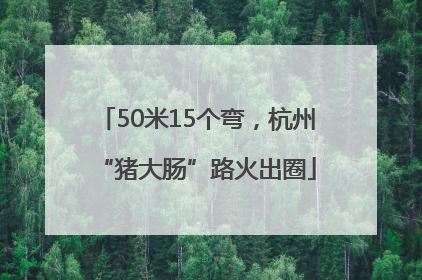 50米15个弯，杭州“猪大肠”路火出圈