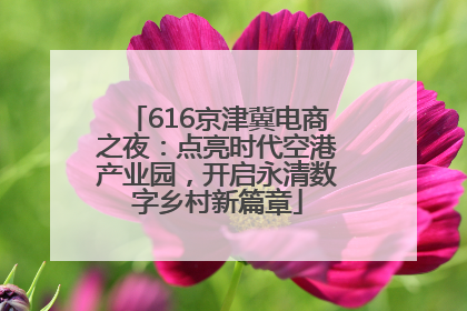 616京津冀电商之夜：点亮时代空港产业园，开启永清数字乡村新篇章