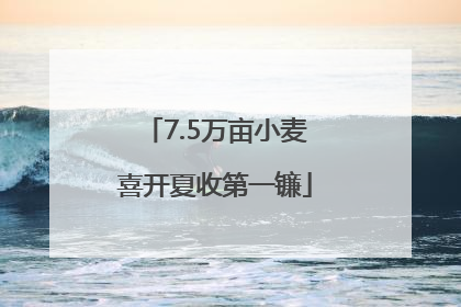 7.5万亩小麦喜开夏收第一镰