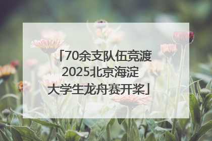 70余支队伍竞渡 2025北京海淀大学生龙舟赛开桨