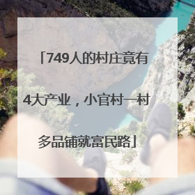 749人的村庄竟有4大产业，小官村一村多品铺就富民路