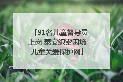 91名儿童督导员上岗 泰安织密困境儿童关爱保护网