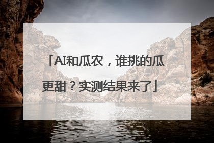 AI和瓜农，谁挑的瓜更甜？实测结果来了