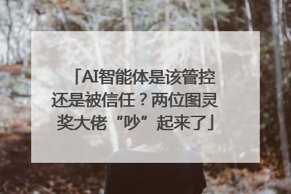 AI智能体是该管控还是被信任？两位图灵奖大佬“吵”起来了