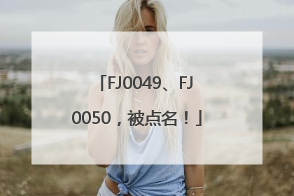 FJ0049、FJ0050，被点名！