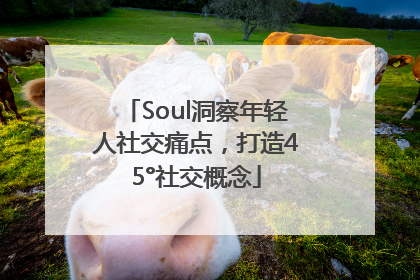 Soul洞察年轻人社交痛点，打造45°社交概念