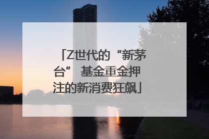 Z世代的“新茅台” 基金重金押注的新消费狂飙